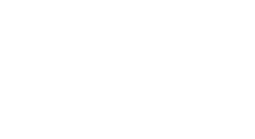 Model 5